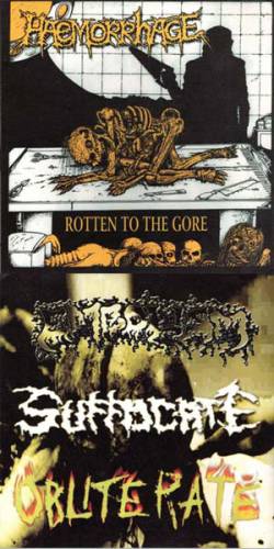 Haemorrhage : Rotten to the Core